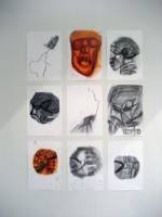Susan Aldworth. <em>Location Drawings</em>, 2000&ndash;02. Charcoal and chalk paste on paper, 42 x 29.5 cm each (installation shot from&nbsp;<em>Scribing the Soul</em>&nbsp;at Transition Gallery)