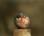 <em>Untitled</em>, from the series <em>The Tears of Things (Objects from a Rubbish Tip)</em>&nbsp;1990 &copy; Keith Arnatt.