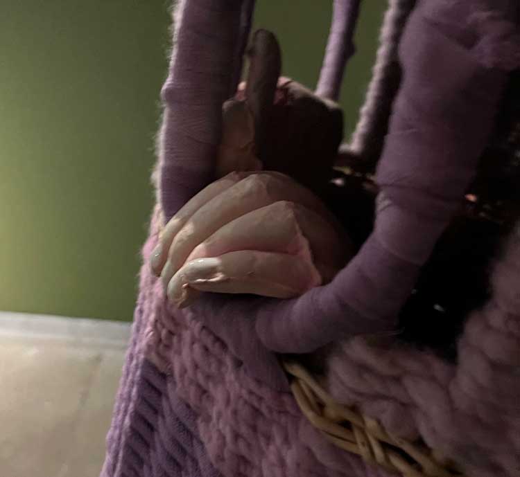 Jonathan Baldock: WYRD, installation view, Jupiter Artland, 2025. Photo: Veronica Simpson.