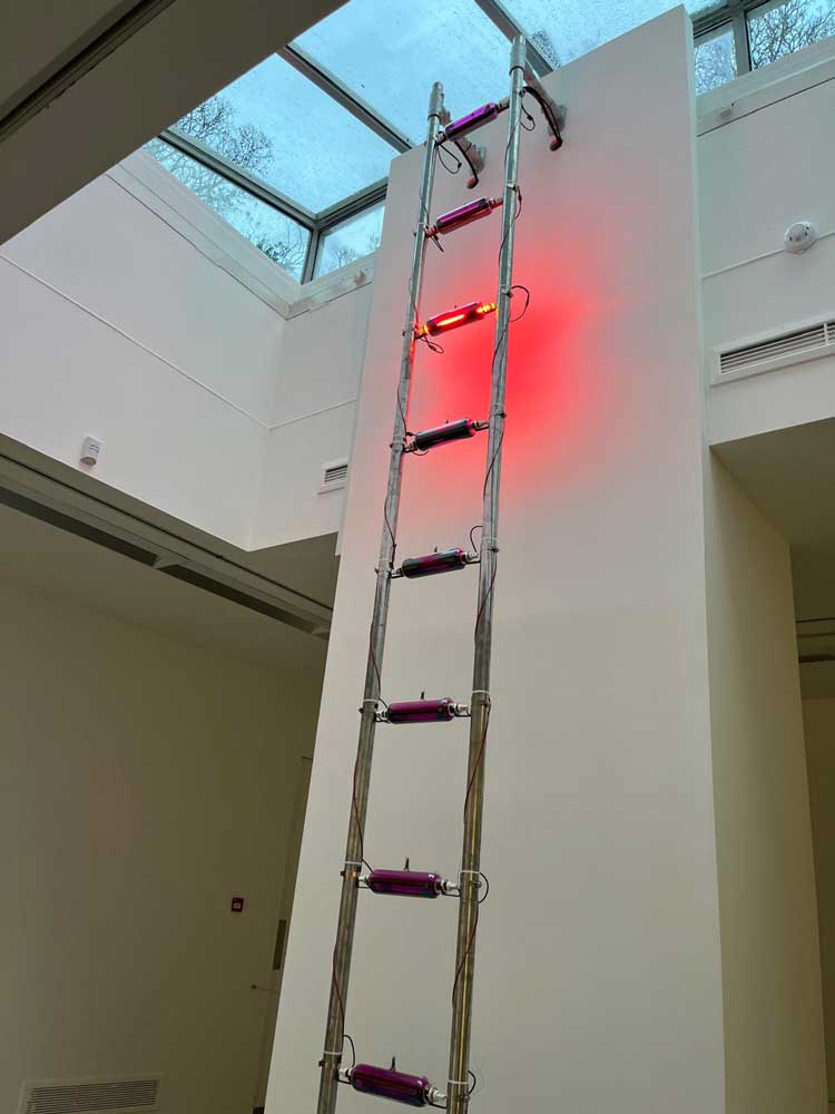 Hamad Butt, Familiars 1: Substance Sublimation Unit (1992). Iodine under vacuum, glass, steel, infrared lamps, timing device, wiring. Overall display dimensions variable. Exhibition view, Hamad Butt: Apprehensions, IMMA, 2024. Courtesy of the Irish Museum of Modern Art (IMMA). Photo: Veronica Simpson.