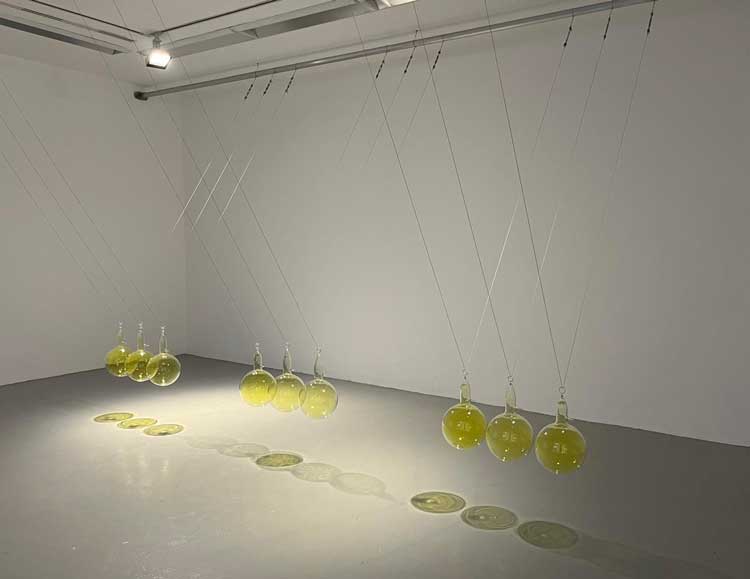 Hamad Butt, Familiars 3: Cradle, 1992. Vacuum-sealed glass, crystal iodine, liquid bromine, cholerine gas, water and steel. Overall display dimensions variable. Exhibition view, Hamad Butt: Apprehensions, IMMA, 2024. Courtesy of the Irish Museum of Modern Art (IMMA). Photo: Veronica Simpson.