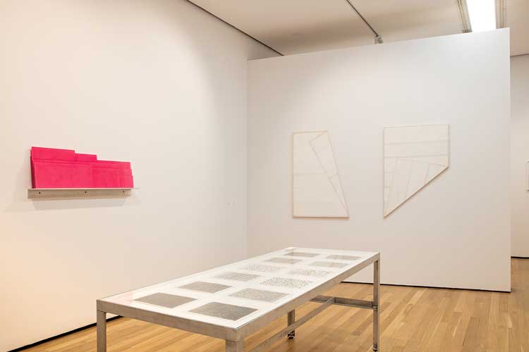 David Batchelor, Colour Is, 2022. Installation view. Courtesy © Compton Verney. Photo: Jamie Woodley.