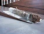 Matthew Barney. <em>Ambergris,</em> 2005. Cast shrimp, sea shells, epoxy, polycaprolactone thermoplastic and self-lubricating plastic. Overall installed dimensions variable: ambergris: 111.8 x 91.4 x 731.5 cm; winch: 76.2 x 149.9 x 76.2 cm. Installation view: Leeum, Samsung Museum of Art, Seoul. Photograph: Hyunsoo Kim. Courtesy of the Gladstone Gallery, New York &copy; 2005 Matthew Barney