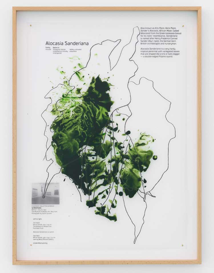 Céline Condorelli, Plant Studies, 2018. Wax print on drafting film, stained with watercolour and acrylic ink, 42 x 59.4 cm. Courtesy the artist. Photo: Bruno Lopes.
