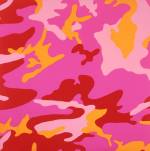 A Warhol. Camouflage, 1987 &copy;DACS/Founding Collection, The Andy Warhol Museum, Pittsburgh