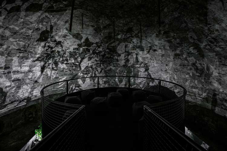 Documenta 15: Nguyễn Trinh Thi, And They Die a Natural Death, installation view, 2022, Rondell, Kassel, 14 June 2022. Photo: Frank Sperling.
