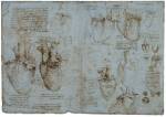 Leonardo da Vinci. Studies of the heart of an ox, c.1513. 28 x 41 cm. Pen and ink on blue paper. Royal Collection &copy; 2006 Her Majesty Queen Elizabeth II.