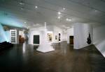 Denver Art Museum, Frederick C Hamilton extension. Daniel Libeskind
Davis Partnership.