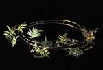 Georgina Follett, <em>Tiara</em>, 2005. Plique a Jour enameling.  Copyright &copy; the artist.  