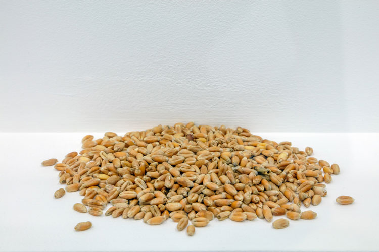 Rafael Pérez Evans. Handful, 2021. Installation view, Henry Moore Institute, Leeds, 2021. Photo courtesy of Jerry Hardman-Jones, The Henry Moore Institute 2021.