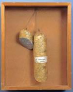 Dieter Roth (Swiss, born Germany, 1930-98). <em>Literaturwurst</em> (Martin Walser: Halbzeit) (<em>Literature Sausage</em>), 1968. Book of cut-up novel, water, gelatin and spices in sausage casing, overall: 20 11/16 x 16 3/4 x 4 &frac34; in (52.5 x 42.5 x 12 cm). Publisher and fabricator: the artist, Reykjavik. Edition: 50 with different formats and texts. Dieter Roth Foundation, Hamburg. &copy; 2006 Dieter Roth Foundation, Hamburg.