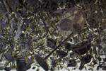Mark Fox. Dust (detail), 2003-11. Ink and acrylic on paper with wire, dimensions variable. Courtesy of the artist.