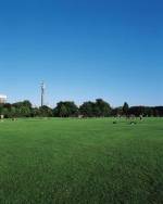 Regents Park, London. Location for Frieze Art Fair, 17-20 October 
              2003