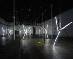 <i>Our love Is Like the Flowers, the Rain, the Sea and the Hours</i>, 
              Martin Boyce, 2002. Courtesy The Modern Institute