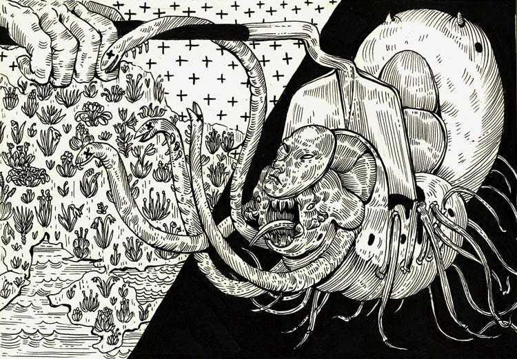 Ave Libertatemaveamor, Insect drawing, 2021. Pen and ink on paper. © the artist.