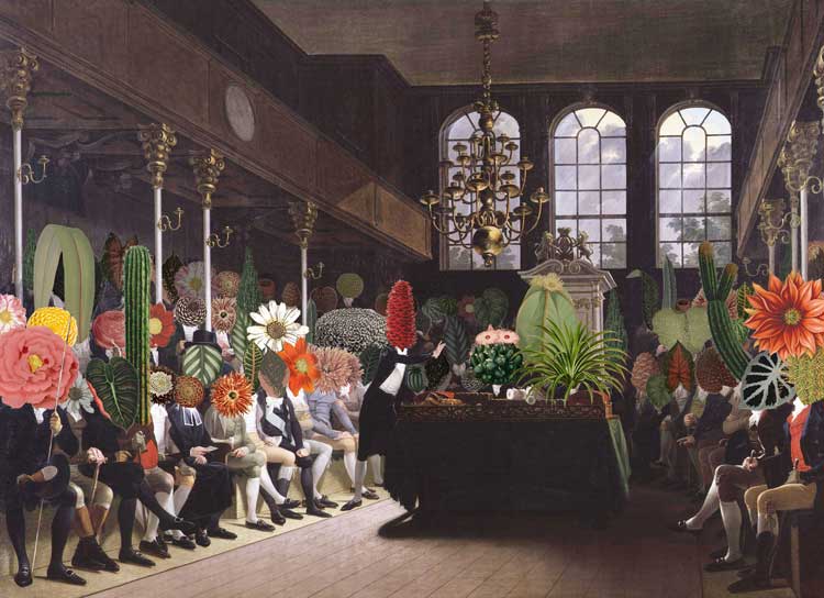 Céline Baumann, Parliament of Plants, 2020. © Studio Céline Baumann.