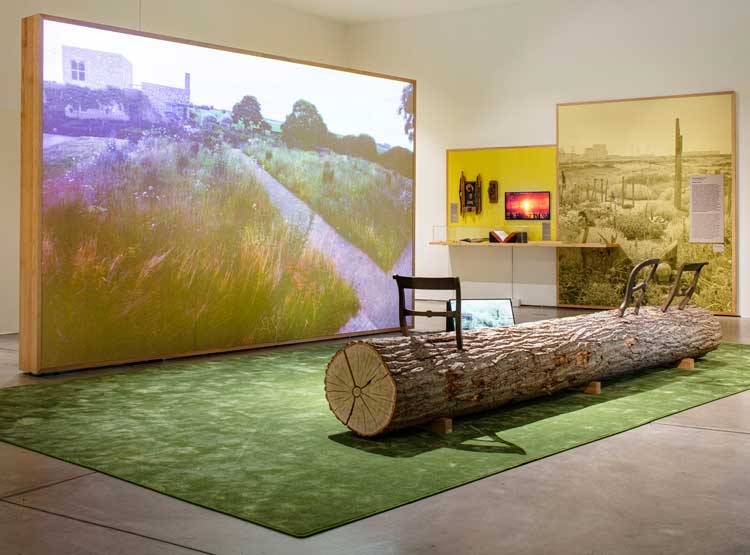 Garden Futures: Designing with Nature, Gallery 3, film showing iconic gardens through the seasons. In the foreground Jurgen Bey’s Tree-trunk bench, 1998. © Vitra Design Museum, Photo: Ludger Paffrath.