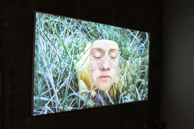 Aniara Omann, The Market Gallery, Duke Street. Photograph: David Gibson.