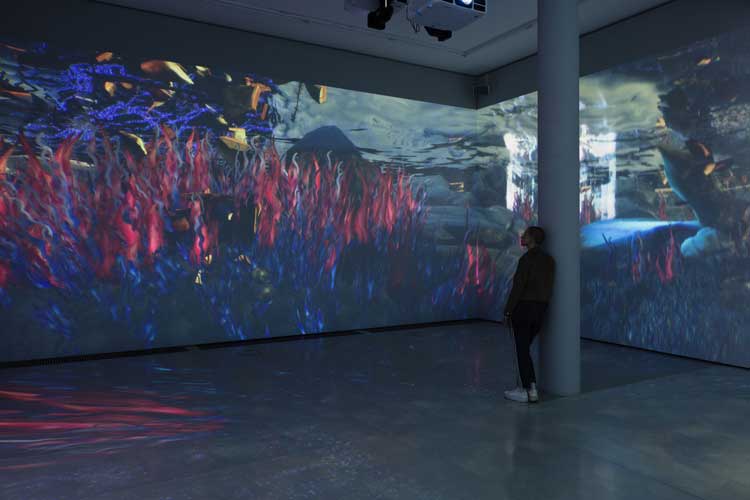 Installation view, Libby Heaney: Ent- at the Schering Stiftung, Berlin, 2022. Photo: Andrea Rosetti .