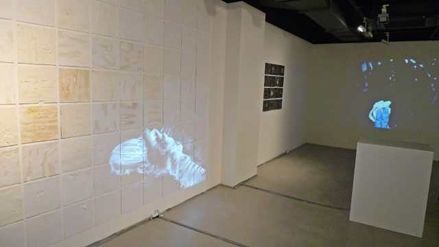 Birgitta Hosea, Erasure, installation view, Hanmi Gallery, Seoul, 2018.