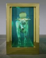 Damien Hirst. <em>The Golden Calf</em> (end), 2008. Calf, 18 carat gold, glass, gold-plated steel, silicone and formaldehyde solution with Carrara marble plinth, 84.8 x 126 x 54 in. / 215.4 x 320 x 137.2 cm. &copy; Damien Hirst