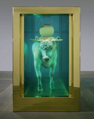 Damien Hirst. <em>The Golden Calf</em> (end), 2008. Calf, 18 carat gold, glass, gold-plated steel, silicone and formaldehyde solution with Carrara marble plinth, 84.8 x 126 x 54 in. / 215.4 x 320 x 137.2 cm. &copy; Damien Hirst