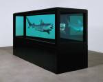 Damien Hirst.<em> The Kingdom</em>, 2008.  Tiger shark, glass, steel, silicone and formaldehyde solution with steel plinth, 51.4 x 151 x 55.8 in. / 130.6 x 383.6 x 141.8 cm. &copy; Damien Hirst