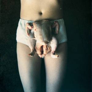 Sarah Lucas. <i> Chicken
        Knickers</i> 2000.  C-type
        photograph  2732 x 1963 cm.  Murderme Ltd, London. Courtesy of Sadie
        Coles HQ, London  © 2006 Sarah Lucas