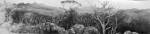 Philip Hunter. Cassidy’s Track – Southern Grampians (detail), 2015. Pencil. Copyright the artist. 
Courtesy Sophie Gannon Gallery.