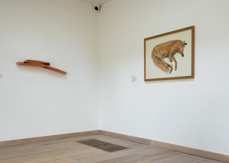 Left: Lucy Skaer, Hare, 2018/2022. Copper. Roberts Institute of Art; Right: Dame Elisabeth Frink,
Sleeping Fox, 1968. Watercolour and pencil. Chris Ingram. Photo: Chip Creative.