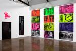 Irene Barberis. Apocalypse Posters: interventions into the 'Angers Tapestry', … birds will eat the flesh of kings … ( Revelation 19 17, 18), 2012. Fluorescent oil based printing ink, printed on BFK Poster paper, 1 of 5, 70 x 90 cm.

Photograph: Mark Ashkanasy.