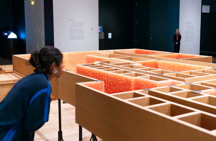 Mike Kelley at Tate Modern, installation view featuring Sublevel 1998. Copyright Tate photography (Lucy Green).