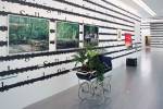Sigmund Freud and the Play on the Burden of Representation, An installation by Joseph Kosuth, 2014. 21er Haus, Vienna, Austria
Sigmung Freud Private Collection © Belvedere, Wien - Courtesy of the Artist.