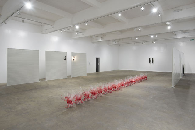 Ghislaine Leung, CONSTITUTION, 2019. Installation view, Chisenhale Gallery, 2019. Commissioned and produced by Chisenhale Gallery, London. Courtesy of the artist. Photo: Andy Keate.