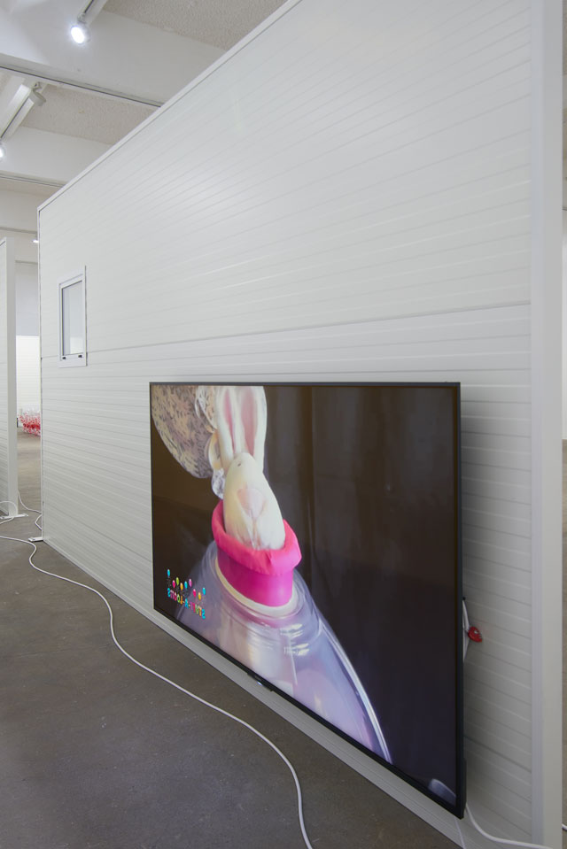 Ghislaine Leung, Parents (detail), 2019. Commissioned and produced by Chisenhale Gallery, London. Courtesy of the artist. Photo: Andy Keate.