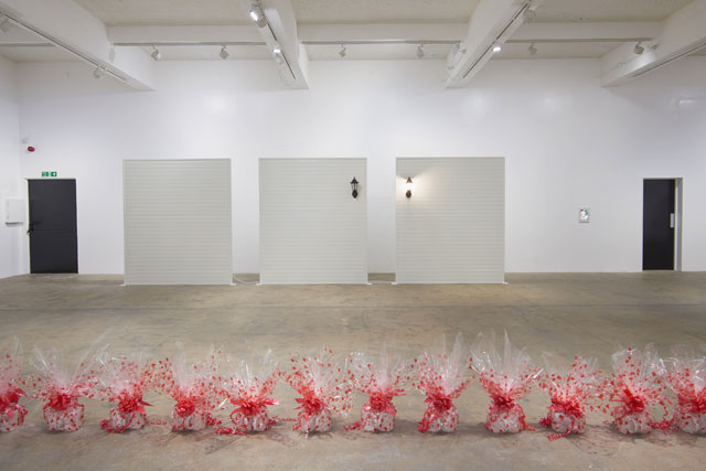 Ghislaine Leung, CONSTITUTION, 2019. Installation view, Chisenhale Gallery, 2019. Commissioned and produced by Chisenhale Gallery, London. Courtesy of the artist. Photo: Andy Keate.