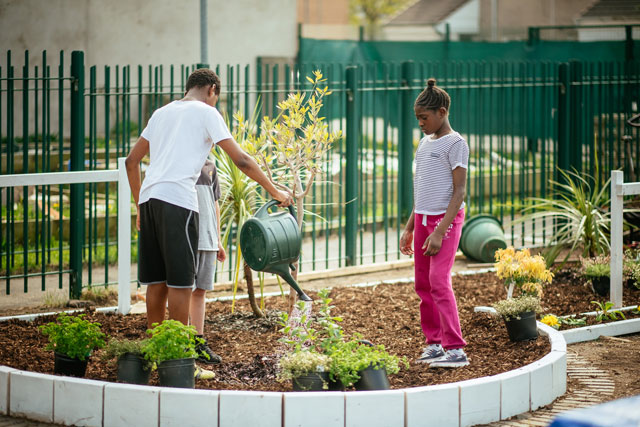 Mohamed Bourouissa, Resilience Garden, 2018. Granby Gardening Club, April 2018. Photo: Pete Carr.