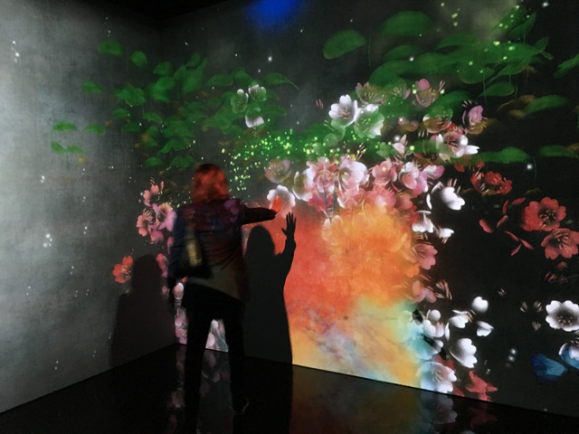 teamLab, What a Loving and Beautiful World. Photo: Catherine Mason.