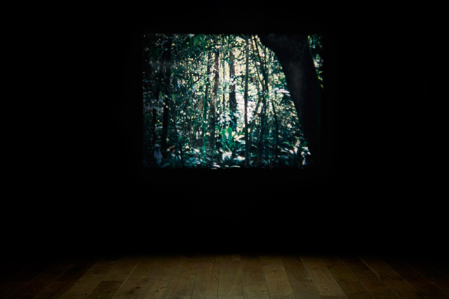 Daniel Steegmann Mangrané, The Word for World is Forest, 2019, installation view at Nottingham Contemporary. Photo Stuart Whipps.