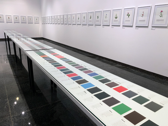 Maryam Najd, installation view of motto cards, Botanic: National Amalgamation Project, Arthur M Sackler Museum of Art and Archaeology at Peking University, 2019. Photo: Arthur M. Sackler Museum.