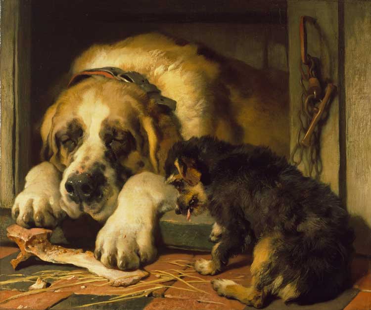 Edwin Landseer, Doubtful Crumbs, 1858-59. © The Trustees of The Wallace Collection.