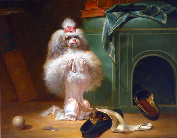 Jean-Jacques Bachelier, Dog of the Havana Breed, 1768. © The Bowes Museum, Barnard Castle.