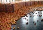 Gu Dexin. <em>2005.3.5 2005</em>, 2006. Installation at Shanghai Gallery of Art, China<br />  &copy; 2006 Gu Dexin