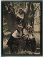 Piotr Vedenisov. Autochrome, 1909-14. Collection of the Multimedia Art Museum, Moscow/Moscow House of Photography Museum.
© Multimedia Art Museum, Moscow/Moscow House of Photography Museum.