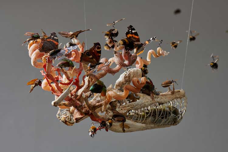 Tessa Farmer. Swarming Fever, 2021. Bones, insects, plant roots, Portuguese Man O