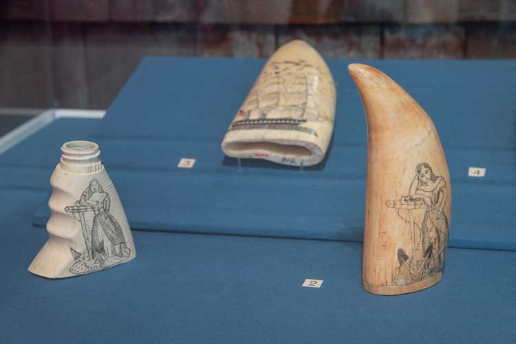 1: Duke Riley. No.355 of the Poly S.Tyrene Memorial Maritime Museum, 2022. Painted salvage plastic, ink and wax. Courtesy of Duke Riley. 2: Unknown Maker, Scrimshaw Whale’s Tooth, circa 1830, Brooklyn Museum, Brooklyn Museum Collection. 3: Unknown Maker, Scrimshaw Whale