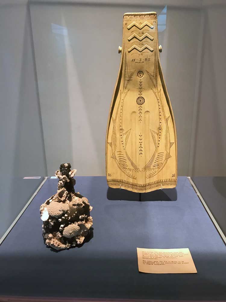 Duke Riley. Snorkeling Fin, No. 31 of the Poly S. Tyrene Memorial Maritime Museum, 2021. Painted, salvaged plastic, ink and wax. Courtesy of artist. Unknown maker, England. Bottle, circa 1750. Glass, sea animal encrustations. Brooklyn Museum, Gift of Wunsch Foundation, Inc.
