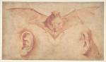 Jusepe de Ribera, A Bat and Two Ears, early 1620s. Red chalk, brush and red wash,
15.9 x 27.9 cm. The Metropolitan Museum of Art, Rogers Fund, 1972. Photo: © 2018. Image copyright The Metropolitan Museum of Art/Art Resource/ Scala, Florence.