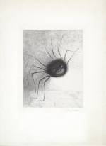 Odilon Redon. <em>The Spider</em> 1887. Lithograph on chine appliqu&eacute;. Composition: 11 x 8 9/16 in. Sheet: 20 7/8 x 15 1/4 in. Publisher: probably the artist, Paris (distributed by L Dumont, Paris). Printer: Lemercier, Paris Edition: proof outside the edition of 25. The Musuem of Modern Art, New York, Mrs Bertram Smith Fund, 1956.