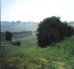 Gerhard 
            Richter. Meadowland (Wiesental). 1985. Oil on canvas, 35 5/8
